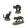 Outlet A Clowder Of Black Cats Halloween Village Accessories