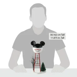 New Mickey Water Tower Disney Village