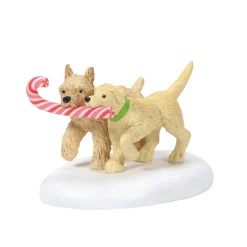 Best Peppermint Pups Village Accessories